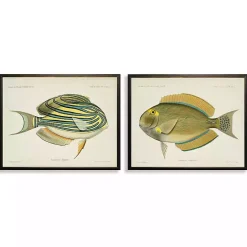 Outlet Kirklands Home Acanthurus Fish Framed Art Prints, Set of 2
