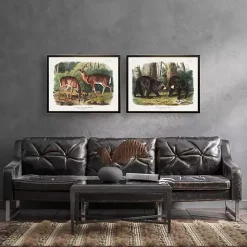 Discount Kirklands Home Audubon Woodland Bears Framed Art Print