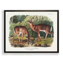 Clearance Kirklands Home Audubon Woodland Deer Framed Art Print