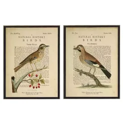 Outlet Kirklands Home Birds Diagram I Framed Art Prints, Set of 2 Ivory
