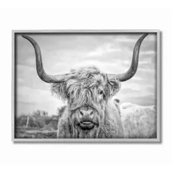 Discount Kirklands Home Black and White Framed Highland Cow Photograph