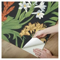 Kirklands Home Botanical Villa Peel & Stick Wallpaper Black