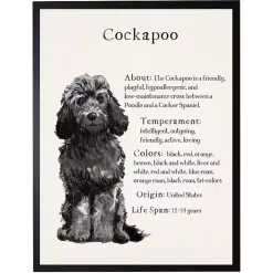 Online Kirklands Home Black Cockapoo Facts Framed Wall Plaque