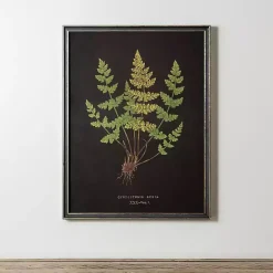 Online Kirklands Home Black Fern V Framed Art Print