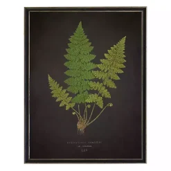 Hot Kirklands Home Black Fern VI Framed Art Print