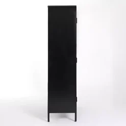 Best Kirklands Home Metal & Glass 2-Door Bentley Cabinet Black