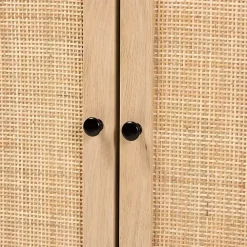 Clearance Kirklands Home Wood and Rattan 2-Door Cabinet Black