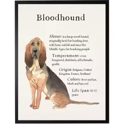 Sale Kirklands Home Bloodhound Facts Framed Wall Plaque