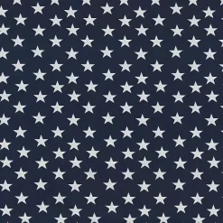 New Kirklands Home Blue & White Stars Outdoor Pillows, Set of 2