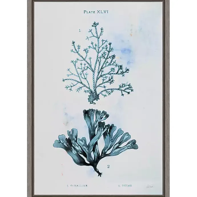 Hot Kirklands Home Blue Bay Coral Framed Canvas Art Print