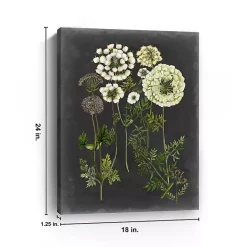 Clearance Kirklands Home Bookplate Floral II Giclee Canvas Art Print