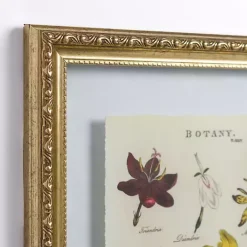 Hot Kirklands Home Botany Gold Framed Art Print