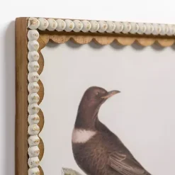 Online Kirklands Home Brown Birds Scalloped Framed Art Print