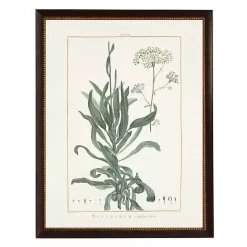 Sale Kirklands Home Bupleurum Greenery Black Beaded Framed Art Print