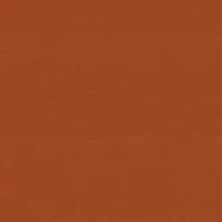 New Kirklands Home Burnt Outdoor Pillows, Set of 2 Orange