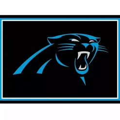 Outlet Kirklands Home Carolina Panthers Area Rug, 3x4 Black