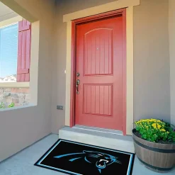 Outlet Kirklands Home Carolina Panthers Area Rug, 3x4 Black