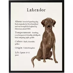 Clearance Kirklands Home Chocolate Labrador Facts Framed Wall Plaque