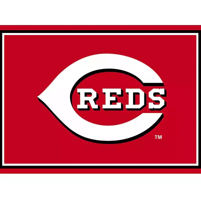 Online Kirklands Home Cincinnati Reds Spirit Rug, 3x4