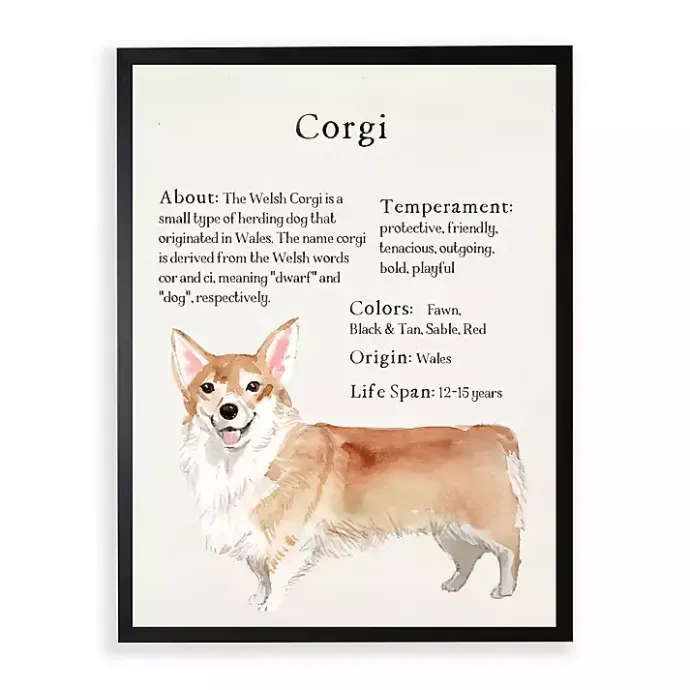 Discount Kirklands Home Corgi Facts Framed Wall Plaque White