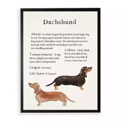 Discount Kirklands Home Dachshund Facts Framed Wall Plaque