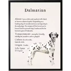 Kirklands Home Dalmation Facts Framed Wall Plaque