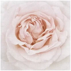 Clearance Kirklands Home Dewdrop Rose Canvas Art Print Pink