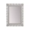Hot Kirklands Home Distressed Gray Botanical Rectangle Wall Mirror