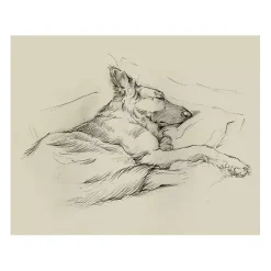 Online Kirklands Home Dog Days IV Canvas Art Print
