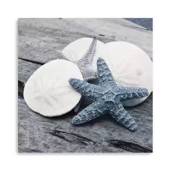 Clearance Kirklands Home Driftwood Shell IV Canvas Art Print, 30x30 in.