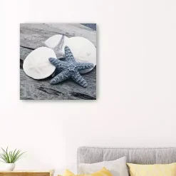 Clearance Kirklands Home Driftwood Shell IV Canvas Art Print, 30x30 in.