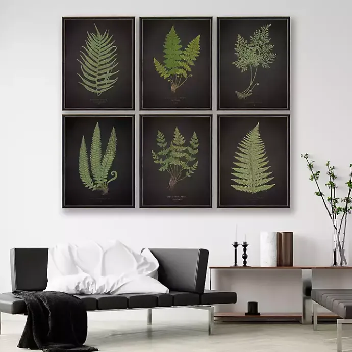 Best Kirklands Home Fern Bookplate VII Framed Art Print