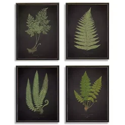 New Kirklands Home Fern Framed Art Prints, Set of 4