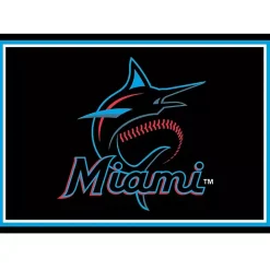 Discount Kirklands Home Florida Marlins Spirit Rug, 3x4 Black
