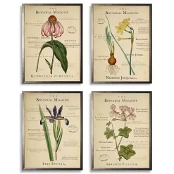 Hot Kirklands Home Flower Magazine Framed Art Prints, Set of 4
