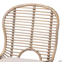 Online Kirklands Home Graywash Rattan Brenna Dining Chairs, Set of 2