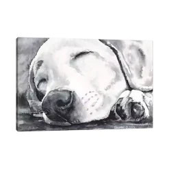 New Kirklands Home Happy Dreams Dog Giclee Canvas Art Print, 40x26 Gray