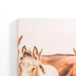 Best Kirklands Home Hartville Horses Canvas Art Print
