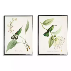 Online Kirklands Home Hummingbirds on Flowers 2-pc. Framed Art Print Set