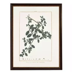 Online Kirklands Home Illecebrum Greenery Black Beaded Framed Art Print