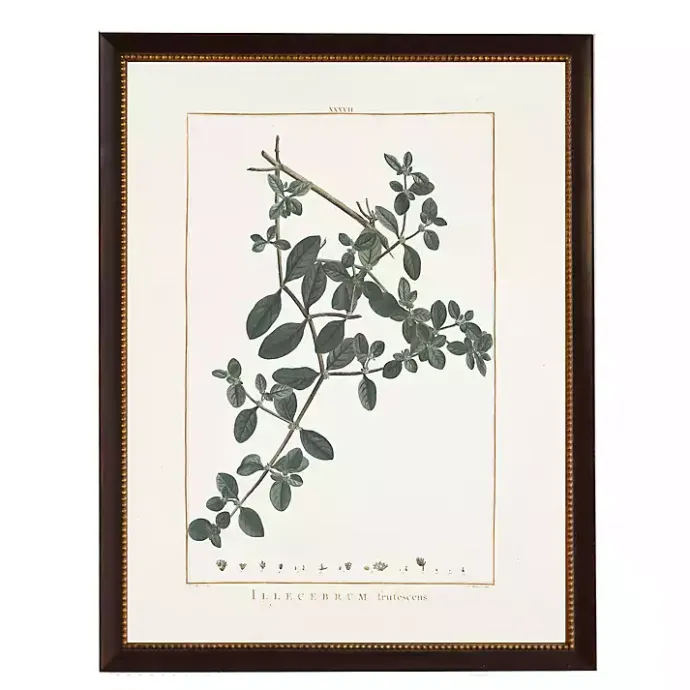 Online Kirklands Home Illecebrum Greenery Black Beaded Framed Art Print