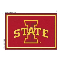 Outlet Kirklands Home Iowa State University Area Rug, 3x4