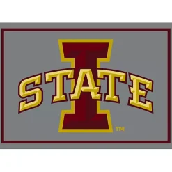 Best Kirklands Home Iowa State University Area Rug, 4x6
