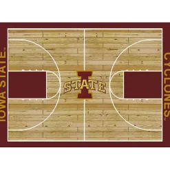 Clearance Kirklands Home Iowa State University Courtside Area Rug, 4x6