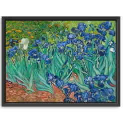 Discount Kirklands Home Irises Framed Canvas Art Print, 26x20 in.