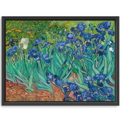 Online Kirklands Home Irises Framed Canvas Art Print, 42x32 in.