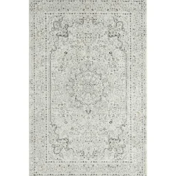 Outlet Kirklands Home Isabella Gray and Ivory Area Rug, 4x6
