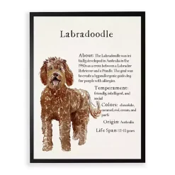 New Kirklands Home Labradoodle Facts Framed Wall Plaque
