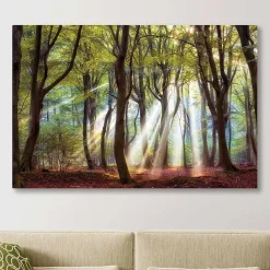 Best Kirklands Home Majestic Morning Giclee Canvas Art Print Multi