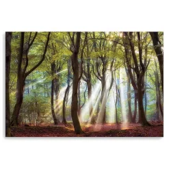 Discount Kirklands Home Majestic Morning Giclee Canvas Art Print Green